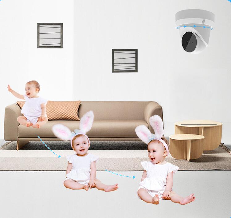 Smart PTZ Indoor Hemisphere Conch Camera