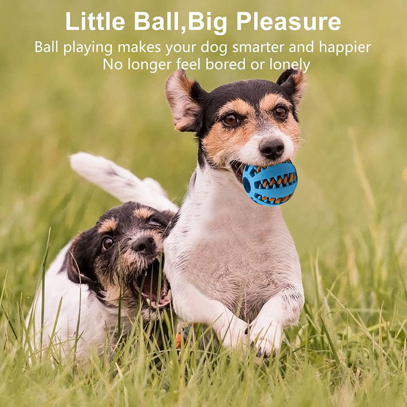 1PC Dog Ball Toys For Small Dogs Interactive Elasticity Puppy Chew Toy Tooth Cleaning Rubber Food Ball Toy Pet Stuff Accessories
