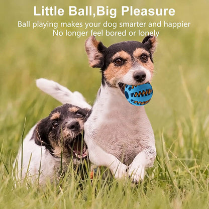 1PC Dog Ball Toys For Small Dogs Interactive Elasticity Puppy Chew Toy Tooth Cleaning Rubber Food Ball Toy Pet Stuff Accessories