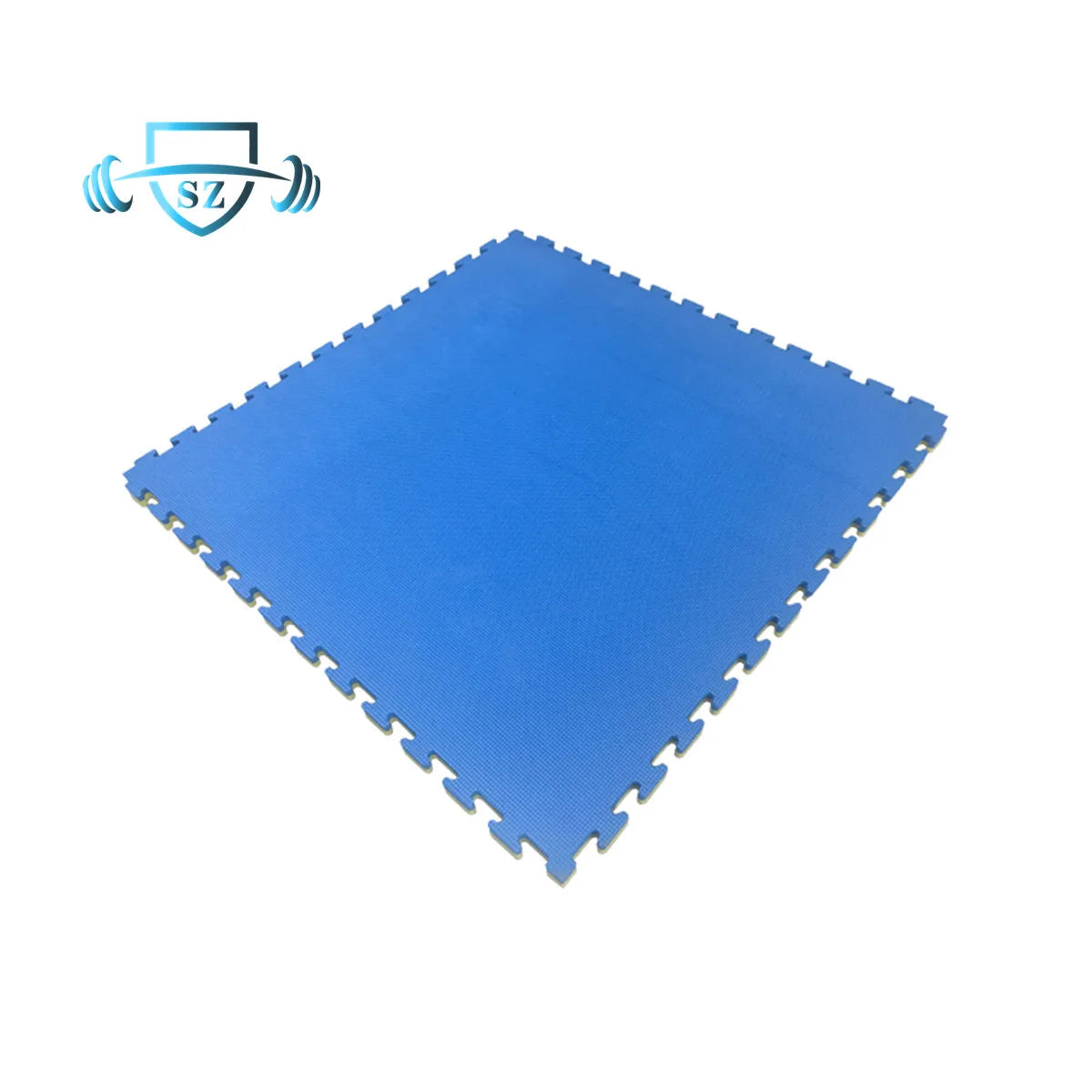4CM Thick Judo Mat Tatami EVA Sponge Puzzle Martial Arts Mat for Sports for Aikido Grappling Jiu-Jitsu Karate