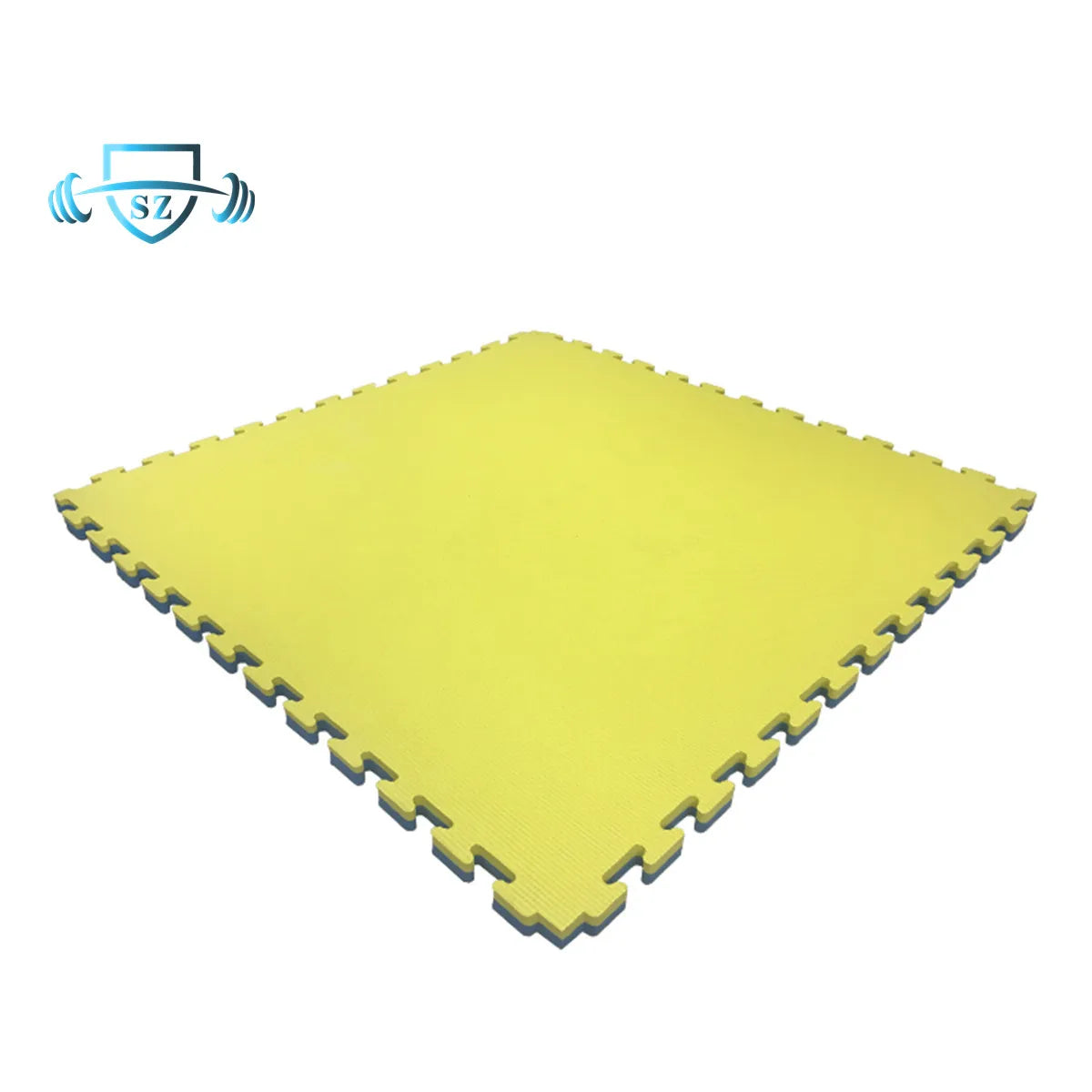 4CM Thick Judo Mat Tatami EVA Sponge Puzzle Martial Arts Mat for Sports for Aikido Grappling Jiu-Jitsu Karate