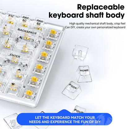 LEAVEN Wired RGB Full Key Conflict Free Black Transparent Mechanical Keyboard Hot Swappable Keycap Switch for Gaming