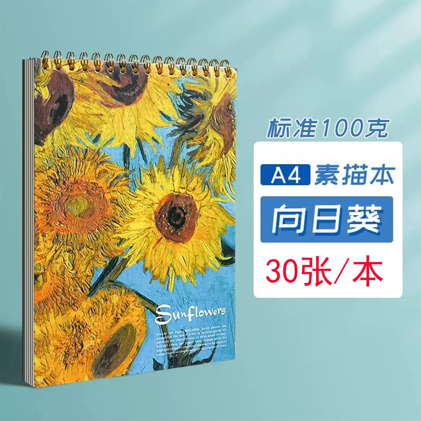 A4 Van Gogh sketchbook  various sketchbooks a4 hand-painted painting book picture book, blank picture book for students